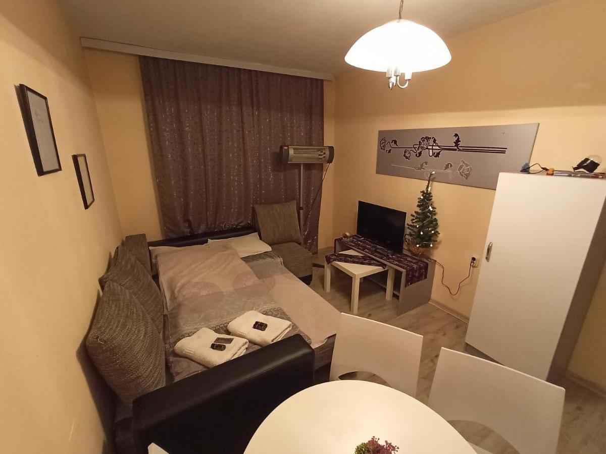 Vila Biljana Ohrid Apartment ภายนอก รูปภาพ