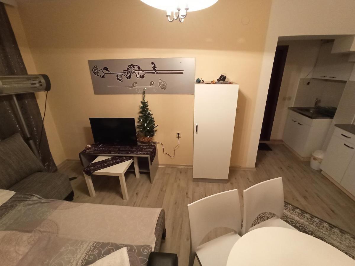 Vila Biljana Ohrid Apartment ภายนอก รูปภาพ